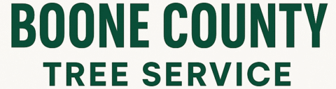 Tree Service Boone County IN | Removal, Trimming & Cleanup